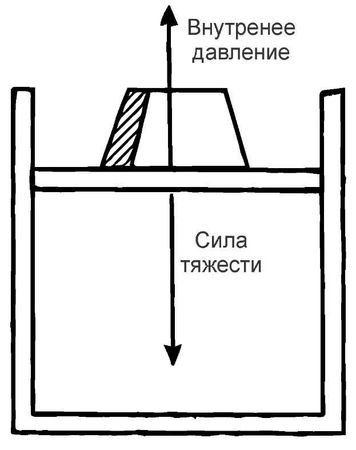 Альберт Эйнштейн, Леопольд Инфельд - Эволюция физики