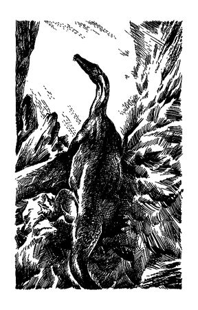 Димитр Ангелов, Йозеф Аугуста и др. - Исчезнувший мир