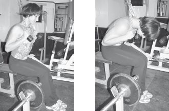 Инесса Шипилина, Игорь Самохин - Фитнес-спорт: учебник для студентов