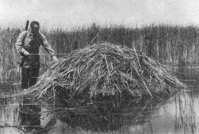 Сборник - Природа донского края