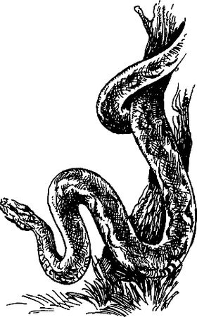 Димитр Ангелов, Йозеф Аугуста и др. - Исчезнувший мир