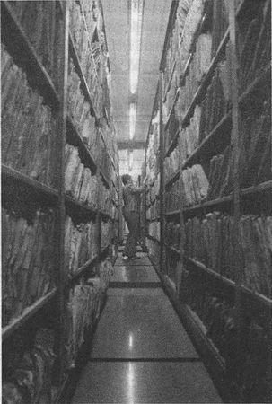 Дэвид Бирн - Весь мир: Записки велосипедиста