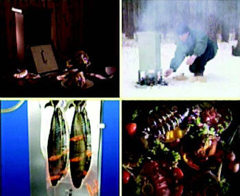 Дмитрий Стародубцев - Куда уходят львы. Книга вторая