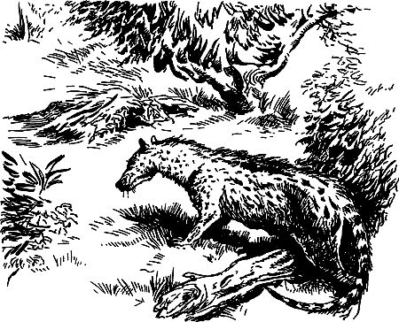 Димитр Ангелов, Йозеф Аугуста и др. - Исчезнувший мир