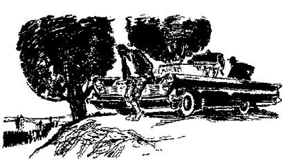 Александр Ломм - Чудо в Марабране