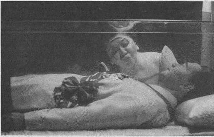 Дэвид Бирн - Весь мир: Записки велосипедиста