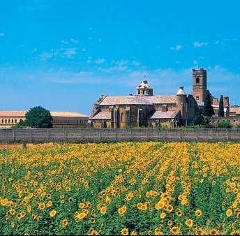 Анна Фельтина - Все об Испании