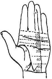 Теодор Шварц - Большая книга тайных знаний. Нумерология. Графология....