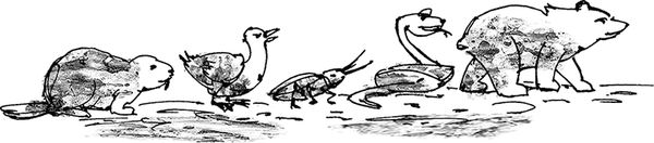 Записки из Твиттера