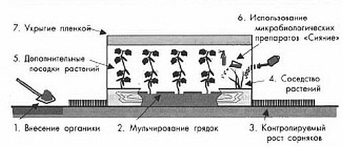 Е. Ляшенко - Сад без химии. Агротехника природного земледелия в Черноземье
