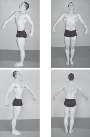 Инесса Шипилина, Игорь Самохин - Фитнес-спорт: учебник для студентов