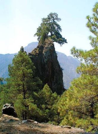 Анна Фельтина - Все об Испании