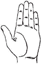 Теодор Шварц - Большая книга тайных знаний. Нумерология. Графология....