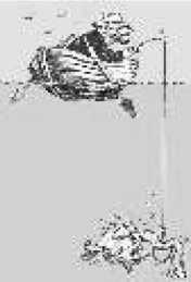 Владимир Бойко - Не служил бы я на флоте... II (сборник)