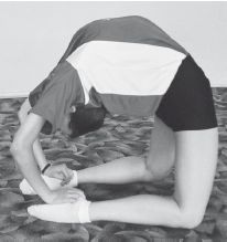 Инесса Шипилина, Игорь Самохин - Фитнес-спорт: учебник для студентов