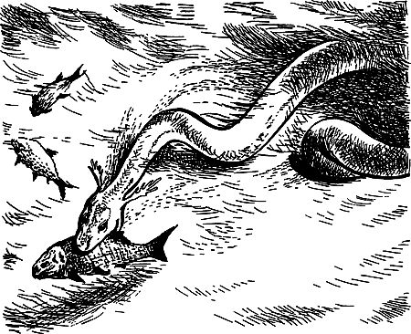 Димитр Ангелов, Йозеф Аугуста и др. - Исчезнувший мир