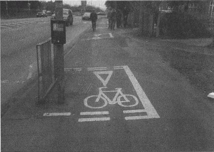 Дэвид Бирн - Весь мир: Записки велосипедиста