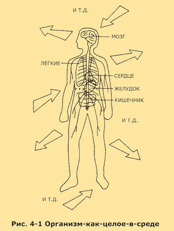 Съюзан Кодиш, Брюс Кодиш - Верните себе здравомыслие: Применяя нестандартный...