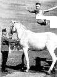 Владимир Бойко - Не служил бы я на флоте... II (сборник)