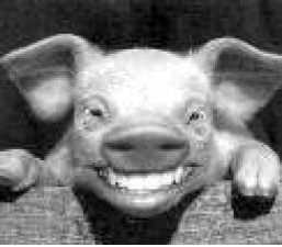 Владимир Бойко - Не служил бы я на флоте... II (сборник)