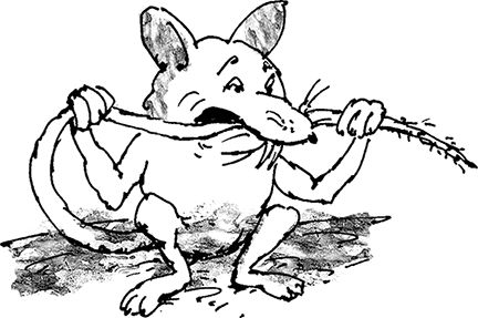 Михаил Задорнов - Записки из Твиттера