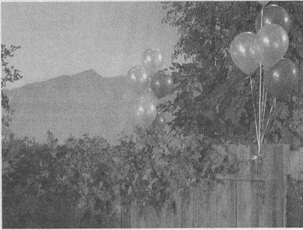 Дэвид Бирн - Весь мир: Записки велосипедиста