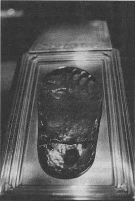 Дэвид Бирн - Весь мир: Записки велосипедиста