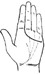 Теодор Шварц - Большая книга тайных знаний. Нумерология. Графология....