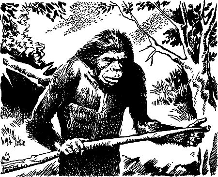 Димитр Ангелов, Йозеф Аугуста и др. - Исчезнувший мир