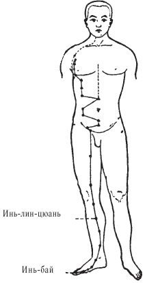 Алла Вологжанина - Острова луны