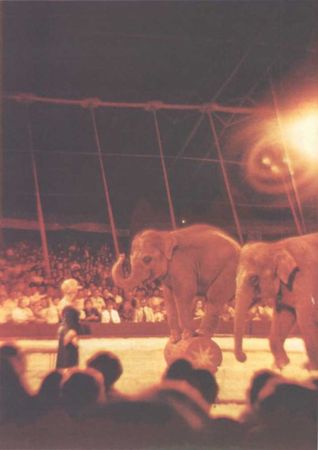 Домини Жандо - История мирового цирка