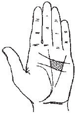 Теодор Шварц - Большая книга тайных знаний. Нумерология. Графология....