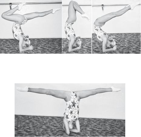 Инесса Шипилина, Игорь Самохин - Фитнес-спорт: учебник для студентов