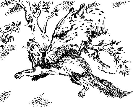 Димитр Ангелов, Йозеф Аугуста и др. - Исчезнувший мир