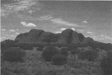 Дэвид Бирн - Весь мир: Записки велосипедиста