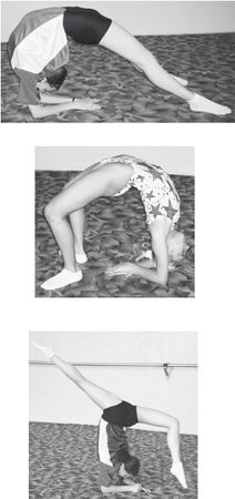 Инесса Шипилина, Игорь Самохин - Фитнес-спорт: учебник для студентов