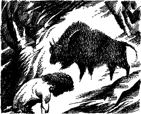 Димитр Ангелов, Йозеф Аугуста и др. - Исчезнувший мир