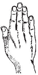 Теодор Шварц - Большая книга тайных знаний. Нумерология. Графология....