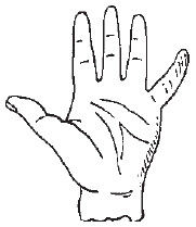 Теодор Шварц - Большая книга тайных знаний. Нумерология. Графология....