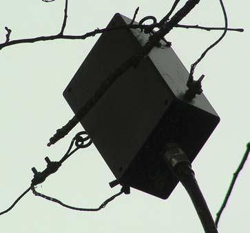 Андрей Кашкаров - Дачная энциклопедия опытных советов