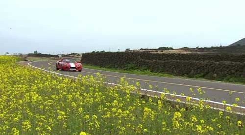 Андрей Кощиенко - Файтин! [с иллюстрациями]