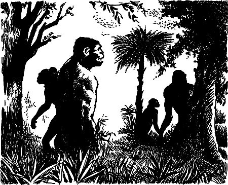 Димитр Ангелов, Йозеф Аугуста и др. - Исчезнувший мир