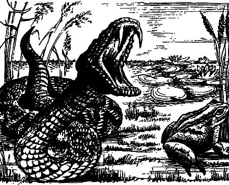 Димитр Ангелов, Йозеф Аугуста и др. - Исчезнувший мир