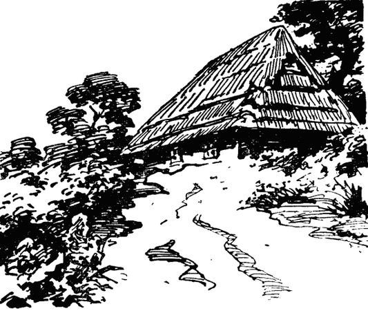 Мор Йокаи - Золотой человек