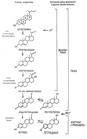 Мария Лазурная - Как достичь надежности в близких отношениях и уверенности в себе