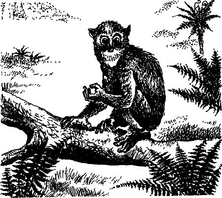 Димитр Ангелов, Йозеф Аугуста и др. - Исчезнувший мир