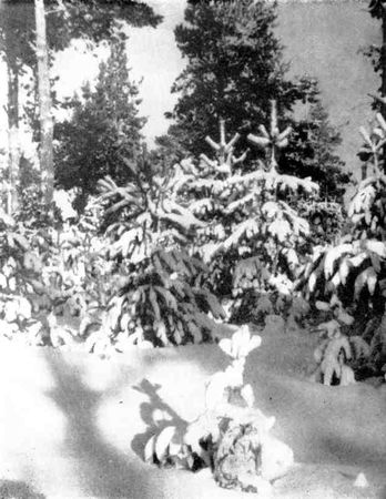 Леонид Фёдоров - Как просыпается Солнце