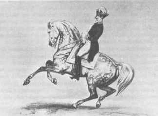 Домини Жандо - История мирового цирка