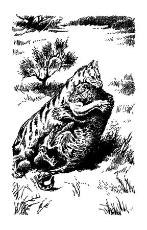 Димитр Ангелов, Йозеф Аугуста и др. - Исчезнувший мир