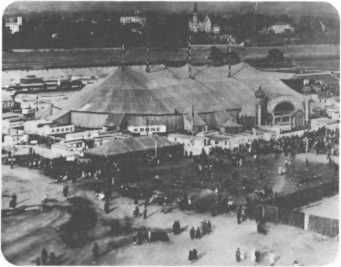 Домини Жандо - История мирового цирка